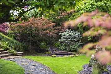 Zen Gardens 