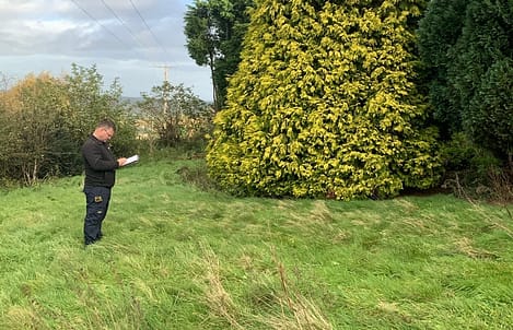 tree surveys in staffordshire