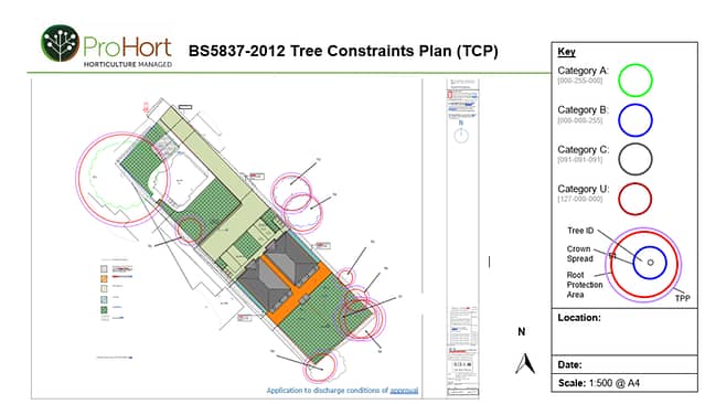 Example of Tree Constraints Plan